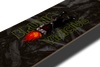 4Msb skateboard deck Curupira, a man with hair on fire, on a dark background with the pro skateboarder name Bruno Vinicius in green.