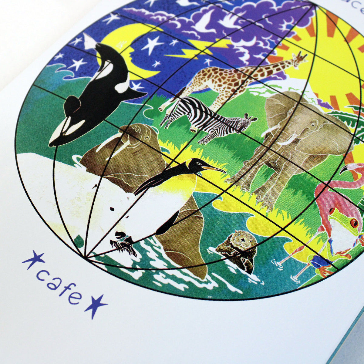 Cafe Skateboard Deck Great Place - White 8.0"