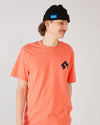 skater wearing a coral t-shirt 4Msb  Quatro fiesta red and a black skateovation harbour beanie Core 