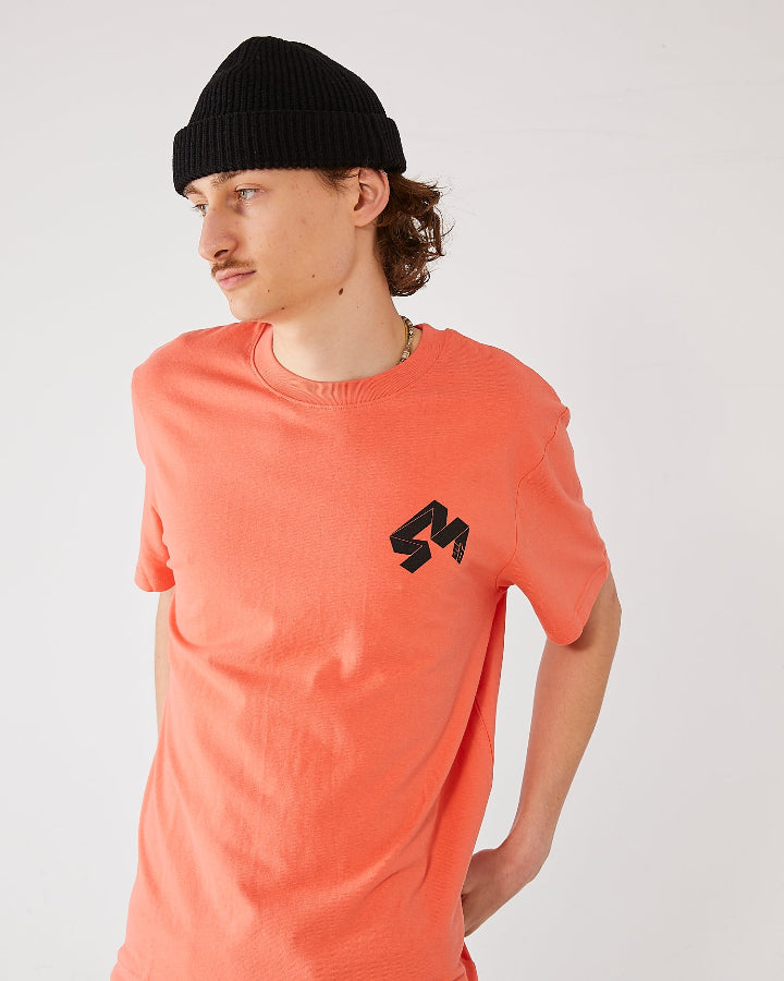skater wearing a coral t-shirt 4Msb  Quatro fiesta red and a black skateovation harbour beanie Core 